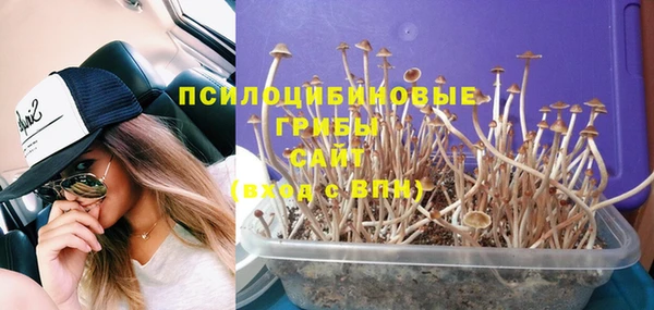 не бодяженный Балахна