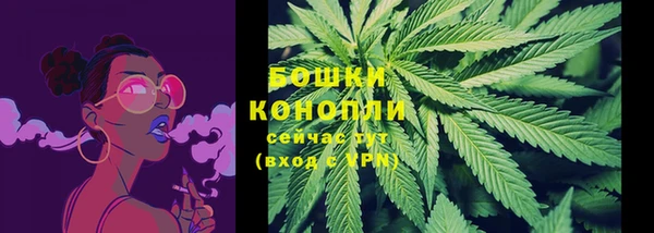 ПСИЛОЦИБИНОВЫЕ ГРИБЫ Баксан