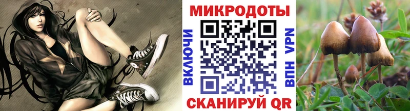 Купить где  Сусуман  Галлюциногенные грибы GOLDEN TEACHER 